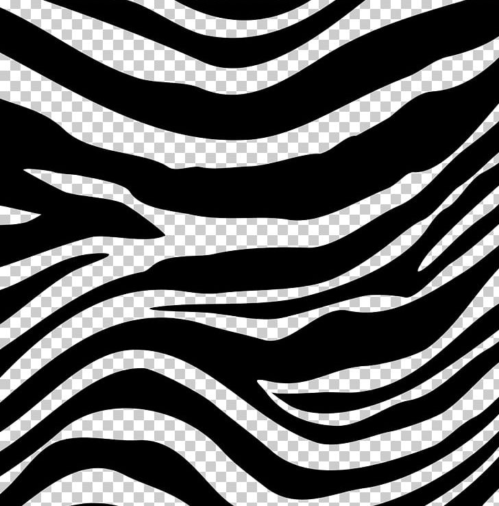 Zebra Black And White PNG, Clipart, Adobe Illustrator, Animals, Black, Black And White Patterns, Cartoon Zebra Free PNG Download