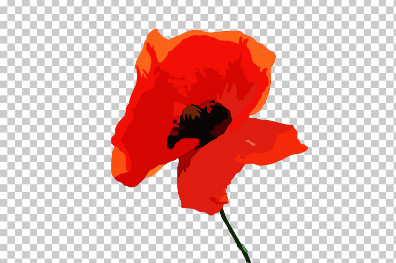 Coquelicot Red Flower Petal Poppy PNG, Clipart, Coquelicot, Corn Poppy, Flower, Oriental Poppy, Petal Free PNG Download