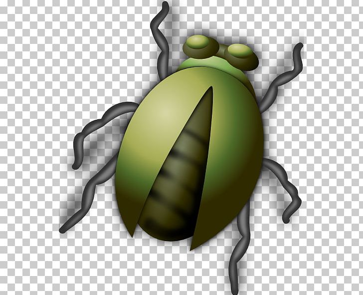 Beetle Free Content PNG, Clipart, Arthropod, Bee, Beetle, Blog, Buddy Cliparts Free PNG Download