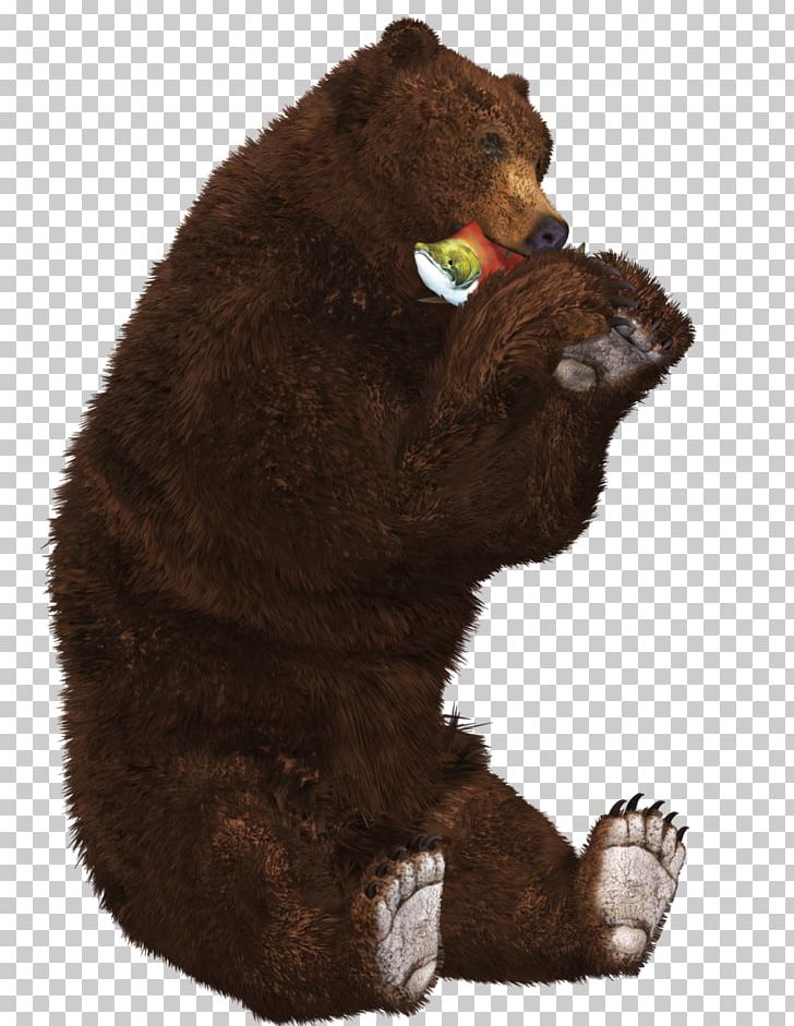 Brown Bear Polar Bear Grizzly Bear PNG, Clipart, American Black Bear, Animals, Bear, Brown Bear, Carnivoran Free PNG Download