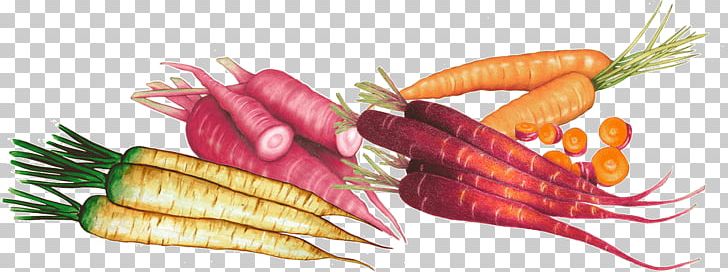 Carrot Natural Foods Vegetarian Cuisine Local Food PNG, Clipart, Apiaceae, Association Kokopelli, Blog, Carrot, Daucus Free PNG Download