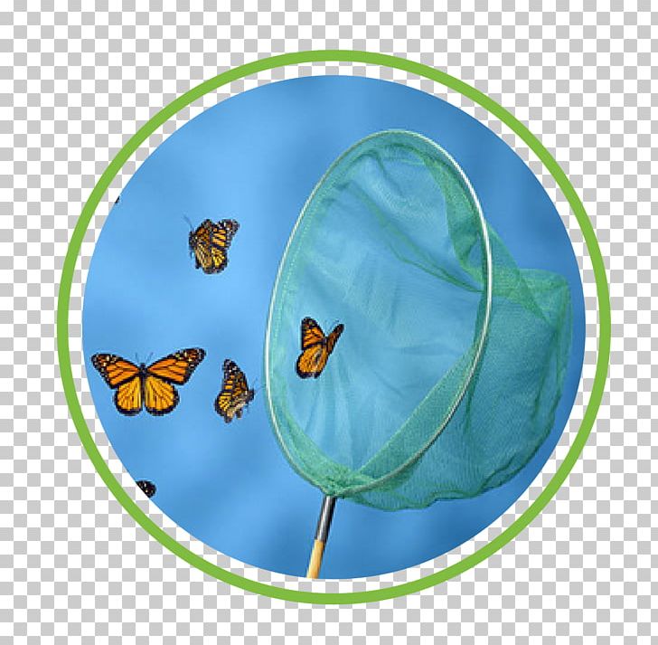 Butterfly Net PNG, Clipart, Butterfly, Butterfly Net, Insect, Insects, Invertebrate Free PNG Download