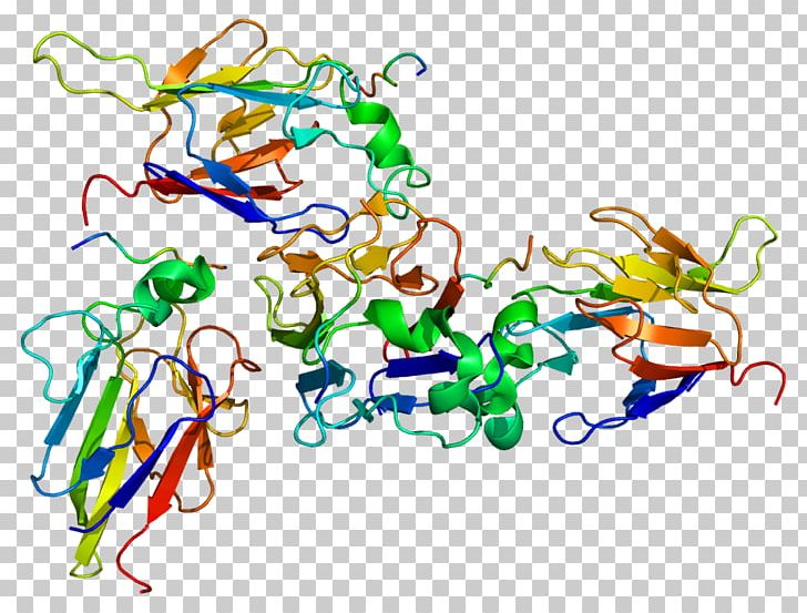 CHEK2 Serine/threonine-specific Protein Kinase BRCA1 Gene PNG, Clipart, Area, Art, Artwork, Brca1, Brca Mutation Free PNG Download