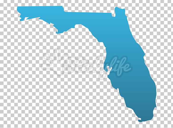 Florida Map PNG, Clipart, Area, Florida, Henna Tattoo, Map, Photography Free PNG Download