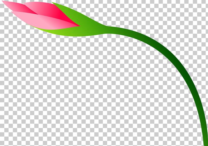 Tulip Flower Plant Stem PNG, Clipart, Beautiful, Color, Flower, Flowering Plant, Flowers Free PNG Download