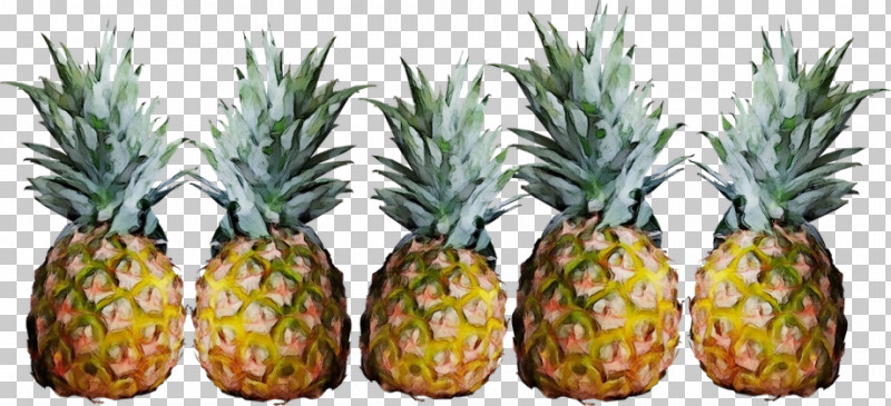 Pineapple PNG, Clipart, Berry, Cherry, Cuisine, Currant, Cut Pineapple Free PNG Download