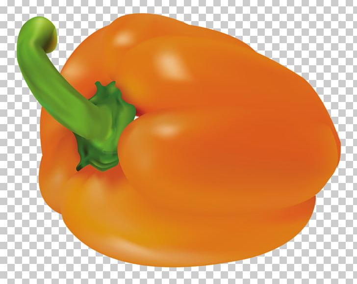 Habanero Cayenne Pepper Yellow Pepper Chili Pepper Bell Pepper PNG, Clipart, Bell Pepper, Bell Peppers And Chili Peppers, Capsicum, Cayenne Pepper, Chili Pepper Free PNG Download