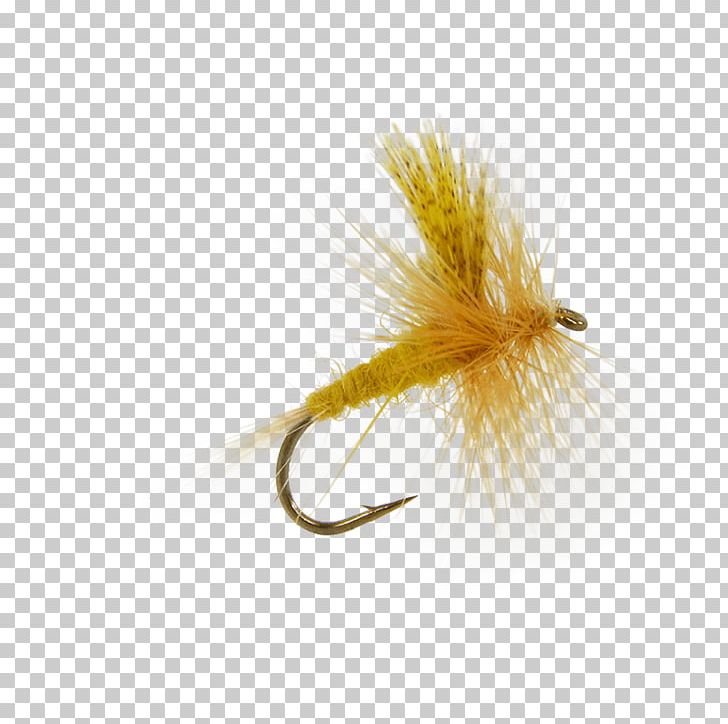 Artificial Fly Insect Dry Fly Fishing Caddisflies PNG, Clipart, Artificial Fly, Brand Ambassador, Discounts And Allowances, Dry Fly Fishing, Fishing Bait Free PNG Download
