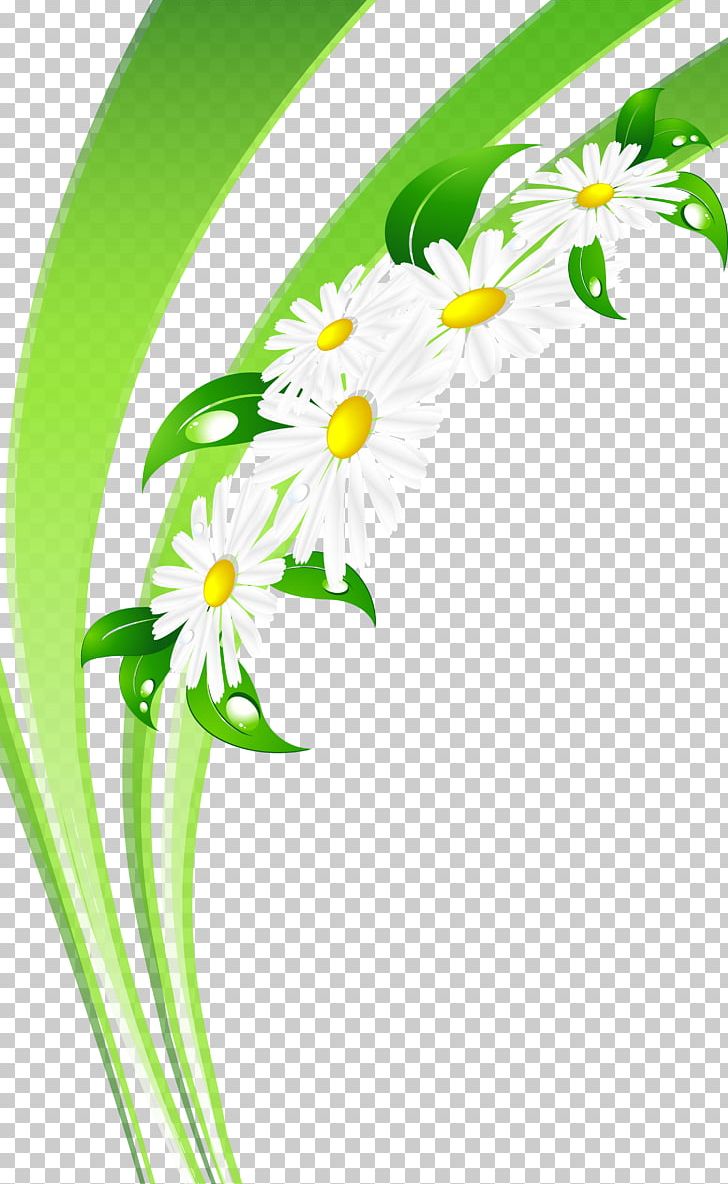 Day Of Russian Family And Love Photography PNG, Clipart, Chamomile Flower, Cut Flowers, Daisy, Day Of Russian Family And Love, Flora Free PNG Download