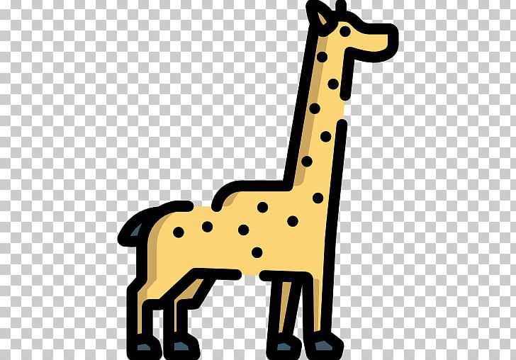 Giraffe Terrestrial Animal PNG, Clipart, Animal, Animals, Giraffe, Giraffidae, Mammal Free PNG Download