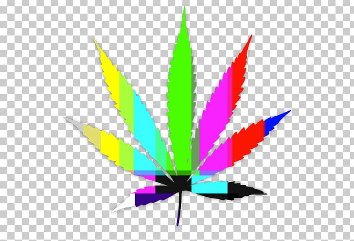Medical Cannabis Dispensary Computer Icons Cannabis Sativa PNG, Clipart, Cannabis, Cannabis Rights, Cannabis Sativa, Cannabis Shop, Computer Icons Free PNG Download