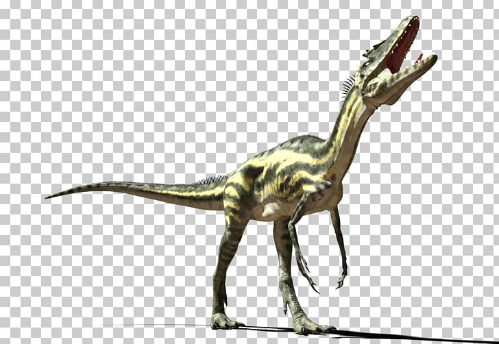 Velociraptor Tyrannosaurus Fauna Extinction Animal PNG, Clipart, Animal, Animal Figure, Dinosaur, Extinction, Fauna Free PNG Download