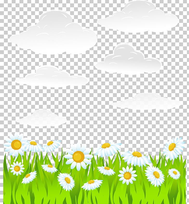 Adobe Illustrator PNG, Clipart, Computer Wallpaper, Daisy Family, Encapsulated Postscript, Flower, Flowers Free PNG Download