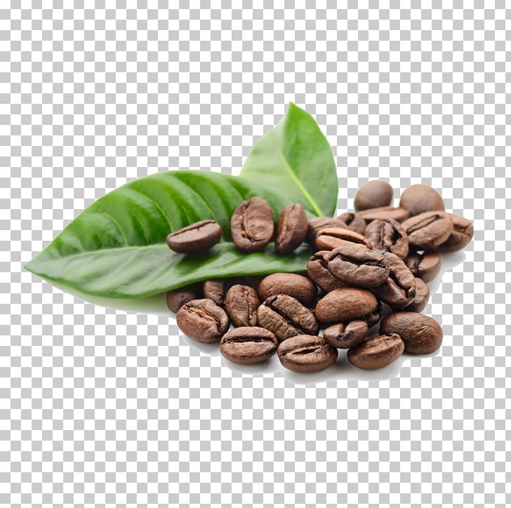 Arabica Coffee Tea Cafe Robusta Coffee PNG, Clipart, Arabica Coffee, Bean, Cafe, Caffeine, Cocoa Bean Free PNG Download