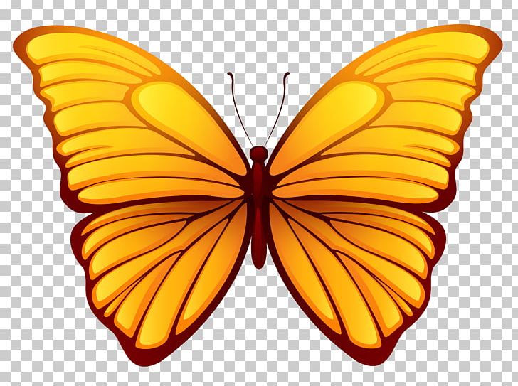 Butterfly PNG, Clipart, Arthropod, Brush Footed Butterfly, Butterflies, Butterflies And Moths, Clipart Free PNG Download