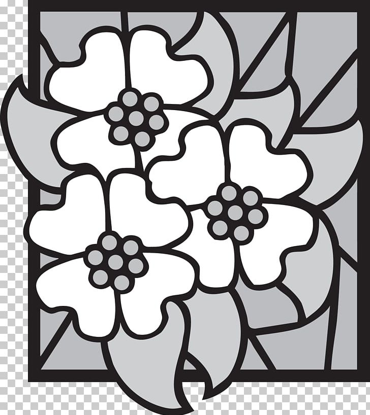 Cut Flowers Floral Design Symmetry Pattern PNG, Clipart, Area, Black, Black And White, Circle, Cut Flowers Free PNG Download
