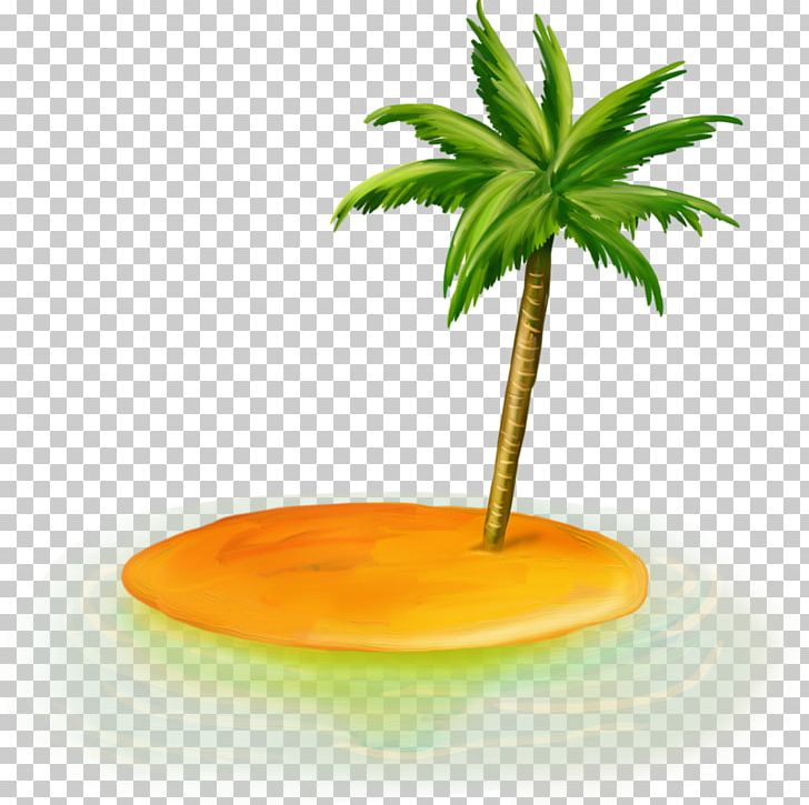 Date Palm Arecaceae Sea PNG, Clipart, Arecaceae, Arecales, Date Palm, Digital Image, Download Free PNG Download