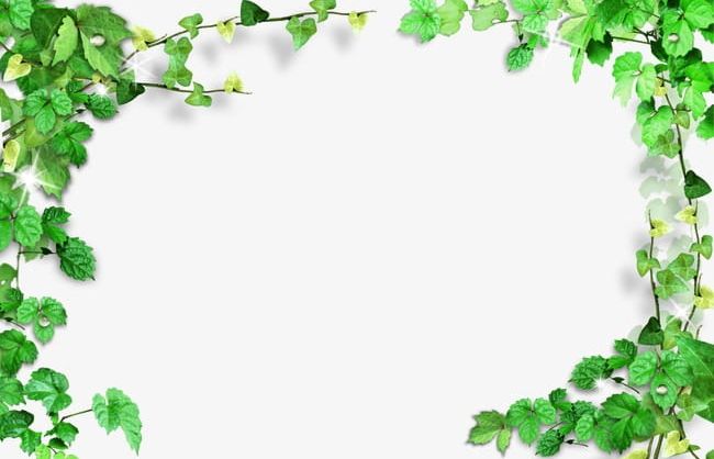Green Leaves Frame PNG, Clipart, Backgrounds, Border, Flowers, Flowers Frame, Frame Free PNG Download