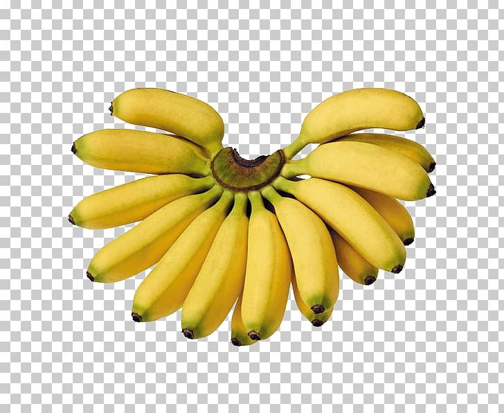 Saba Banana Cooking Banana Pisang Goreng Lady Finger Banana PNG, Clipart, Auglis, Banana, Banana Family, Cavendish Banana, Cooking Banana Free PNG Download