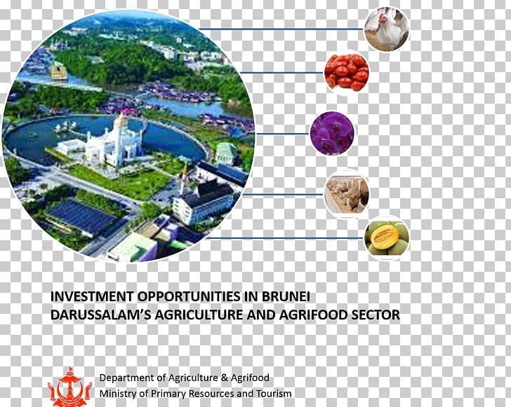 United States Department Of Agriculture Brunei Water Resources PNG, Clipart, Agriculture, Animated Film, Brunei, Investment, Ministry Of Religious Affairs Free PNG Download