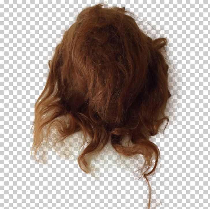 Wig Brown Hair Brown Hair Long Hair PNG, Clipart, Brown, Brown Hair, Doll, For Today, Hair Free PNG Download