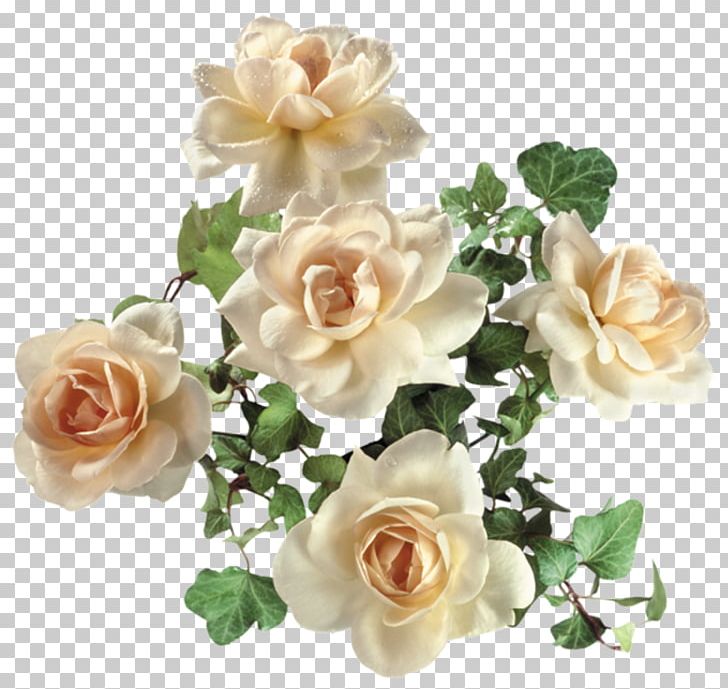 Garden Roses Flower PNG, Clipart, Artificial Flower, Black White, Color, Cut Flowers, Floral Design Free PNG Download