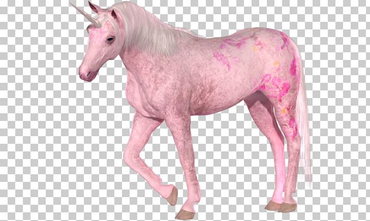 Invisible Pink Unicorn Horse PNG, Clipart, Animal Figure, Desktop Wallpaper, Fantasy, Fictional Character, Flying Spaghetti Monster Free PNG Download
