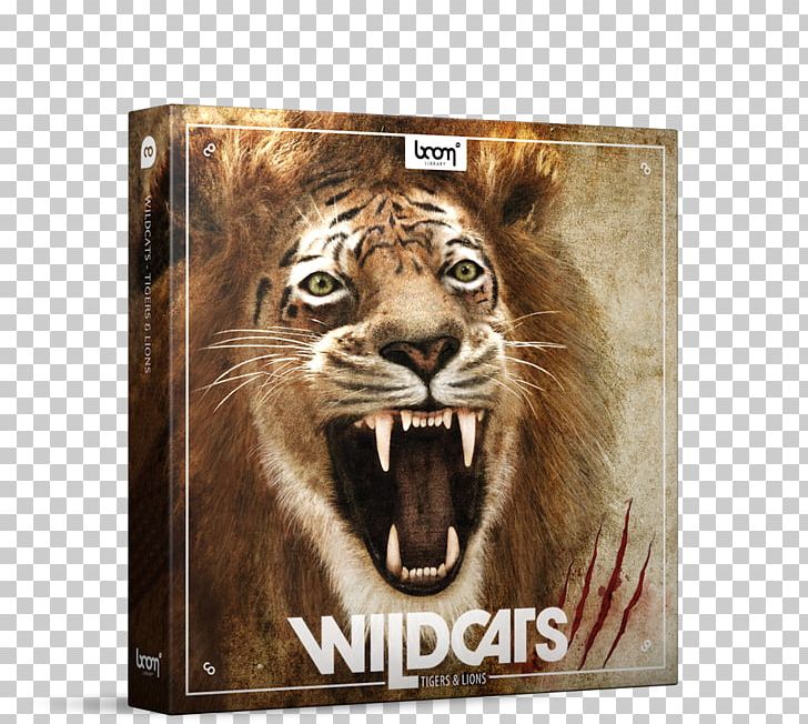 Lion Tiger Roar Sound Effect PNG, Clipart, Big Cat, Big Cats, Carnivoran, Cat, Cat Like Mammal Free PNG Download