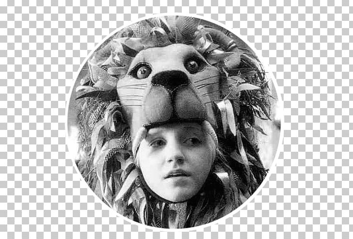 Luna Lovegood Evanna Lynch Lion Hermione Granger Harry Potter PNG, Clipart, Animals, Black And White, Costume, Evanna Lynch, Face Free PNG Download
