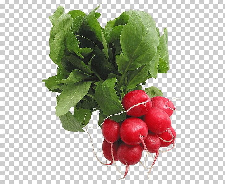 Portable Network Graphics Open Radish PNG, Clipart, Beet, Beetroot, Berry, Cranberry, Desktop Wallpaper Free PNG Download