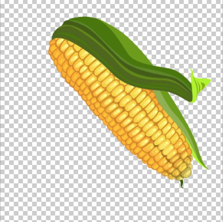 Corn On The Cob Maize Color Palette PNG, Clipart, Cartoon Corn, Caryopsis, Color, Commodity, Corn Free PNG Download