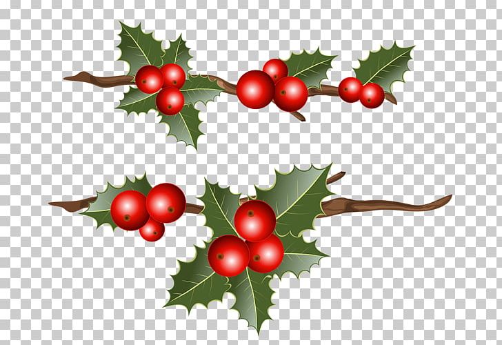 Desktop Computer PNG, Clipart, Aquifoliales, Berry, Branch, Cherry, Christmas Free PNG Download