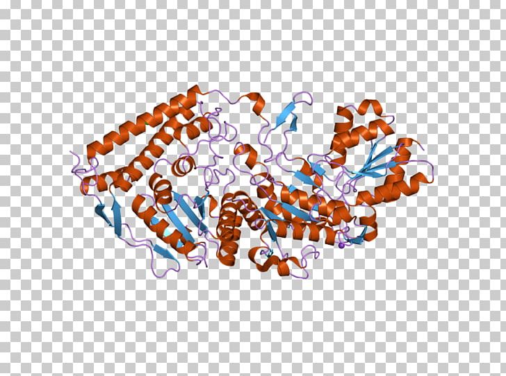 Pyruvate Dehydrogenase (lipoamide) Beta Dihydrolipoamide Dehydrogenase PNG, Clipart, Art, Dehydrogenase, Dihydrolipoamide Dehydrogenase, E3 Binding Protein, Enzyme Free PNG Download