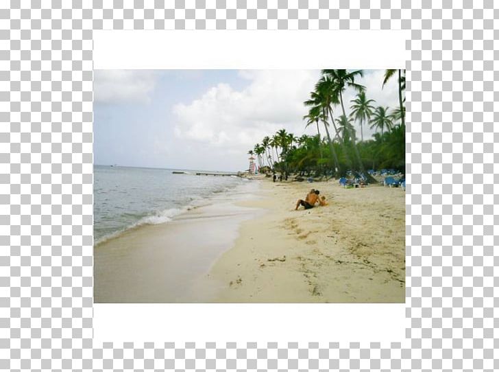 Beach Caribbean Sea Coast Ocean PNG, Clipart, Area, Bay, Beach, Body Of Water, Caribbean Free PNG Download
