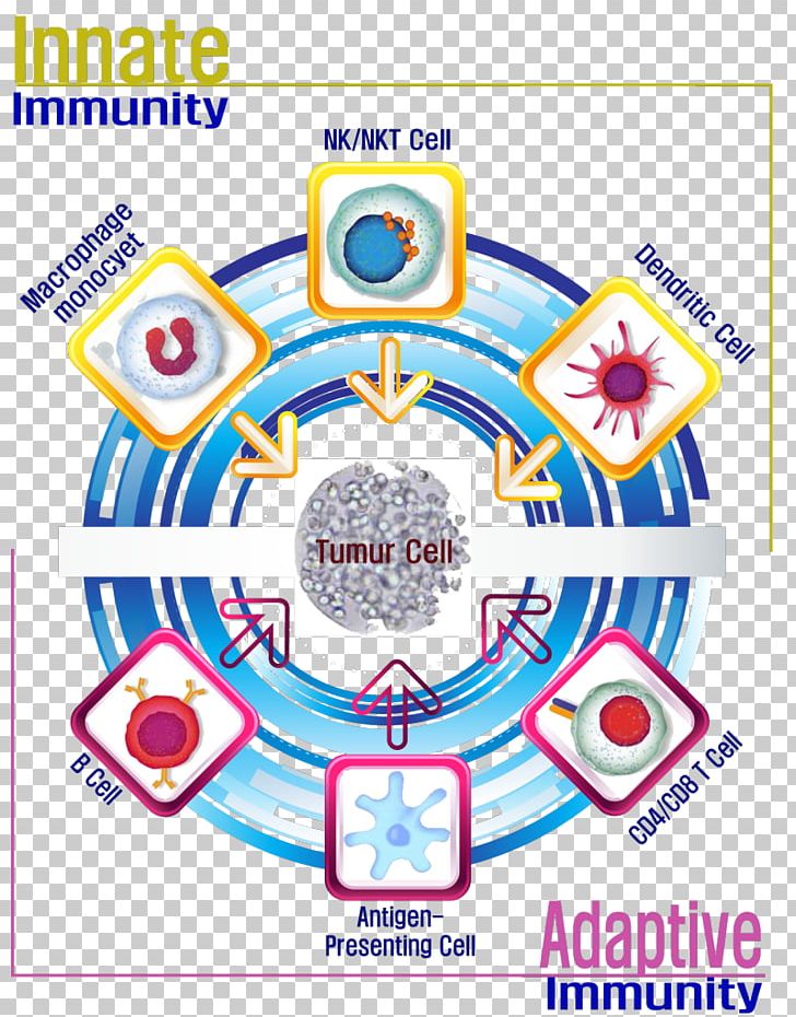 Cell Therapy Immunity Natural Killer Cell Cancer Cell PNG, Clipart, Area, Bone Marrow, Cancer, Cancer Cell, Cell Free PNG Download