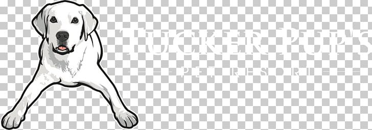 Dog Breed Saluki Line Art Drawing Snout PNG, Clipart, Artwork, Black And White, Breed, Carnivoran, Dog Free PNG Download
