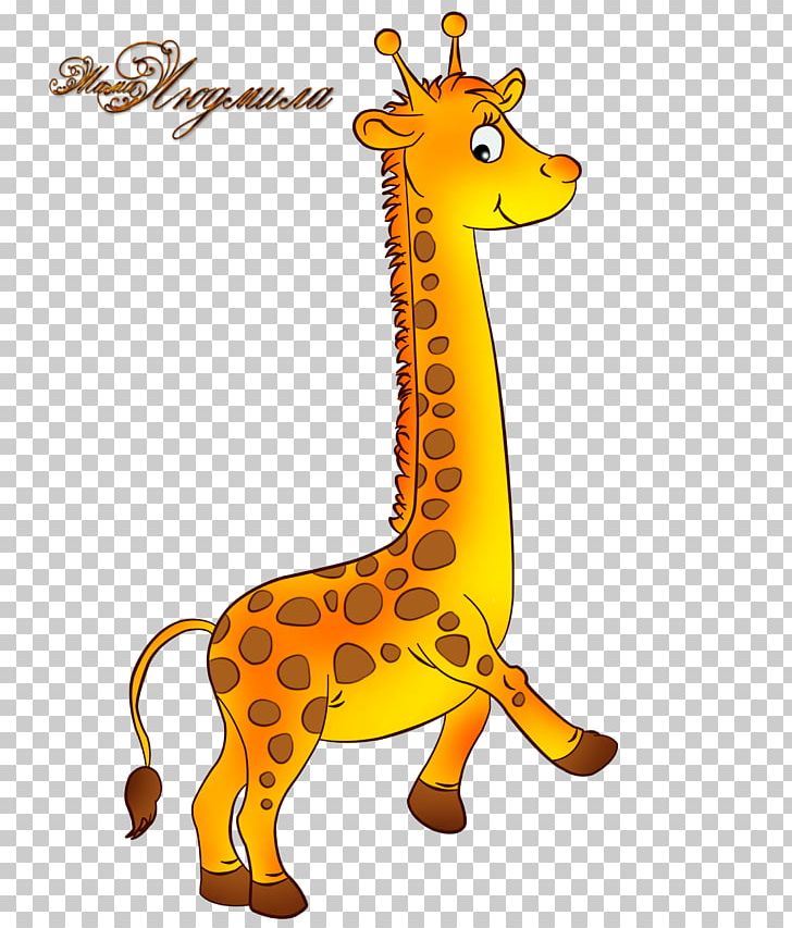 Giraffe Neck Terrestrial Animal Wildlife PNG, Clipart, Animal, Animal Figure, Animals, Fauna, Giraffe Free PNG Download