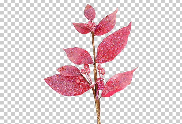 Leaf Plant Stem PNG, Clipart, Bay Laurel, Branch, Computer Icons, Download, Encapsulated Postscript Free PNG Download