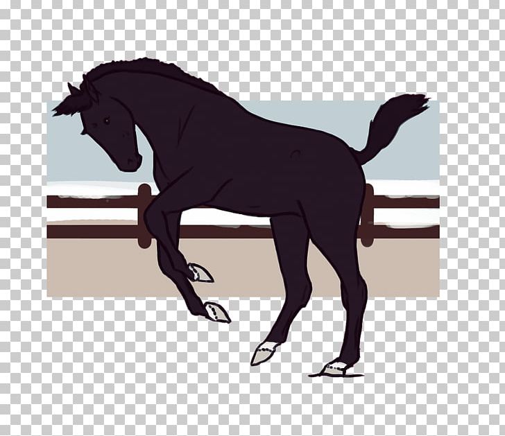 Mane Mustang Stallion Rein Mare PNG, Clipart, Black, Black M, Bridle, English Riding, Equestrian Free PNG Download
