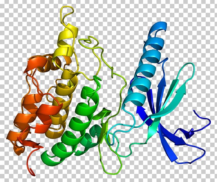 PHKG1 Wikipedia Wikimedia Project Phosphorylase Kinase PNG, Clipart, Art, Artwork, Encyclopedia, Food, Gene Free PNG Download