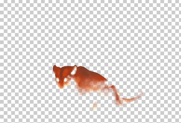 Rat Dog Mammal Snout Canidae PNG, Clipart, Animals, Canidae, Closeup, Deadlands, Dog Free PNG Download