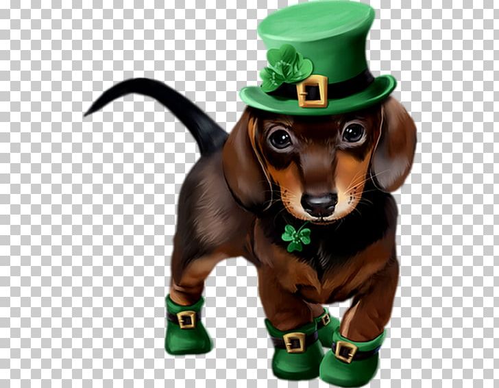 Dachshund Saint Patrick's Day Puppy Art 17 March PNG, Clipart, 17 March, Art, Carnivoran, Dachshund, Dog Free PNG Download