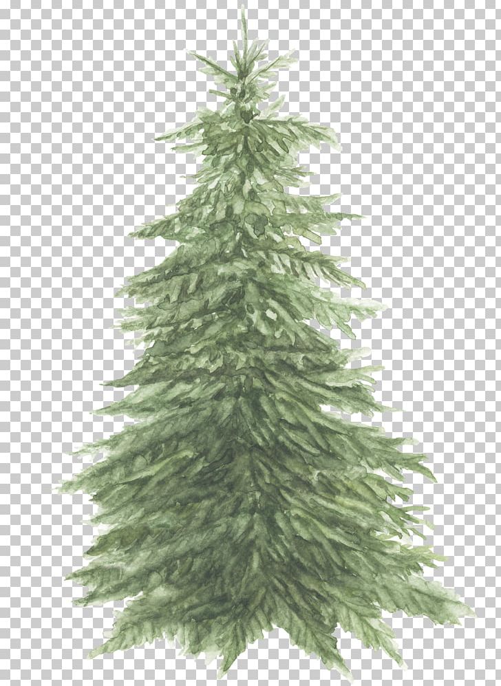 Spruce Pine The Bedlam Stacks Fir Christmas Tree PNG, Clipart, Bedlam Stacks, Book, Book Review, Christmas Decoration, Christmas Ornament Free PNG Download