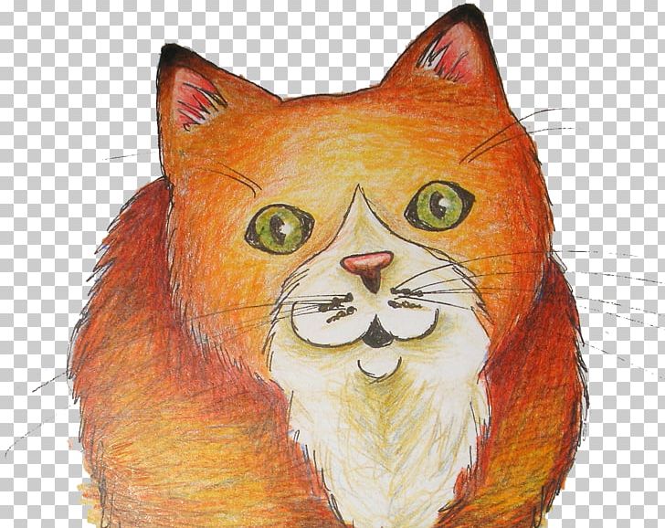 Whiskers Kitten Wildcat Drawing PNG, Clipart, Animals, Carnivoran, Cat, Cat Like Mammal, Drawing Free PNG Download