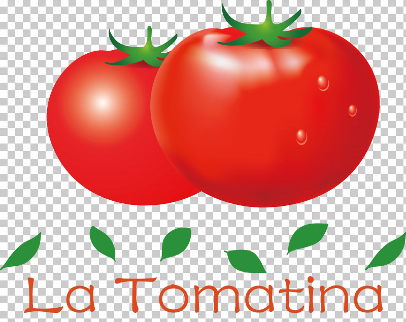 La Tomatina Tomato Throwing Festival PNG, Clipart, Apple, Barbados Cherry, Bush Tomato, Datterino Tomato, La Tomatina Free PNG Download
