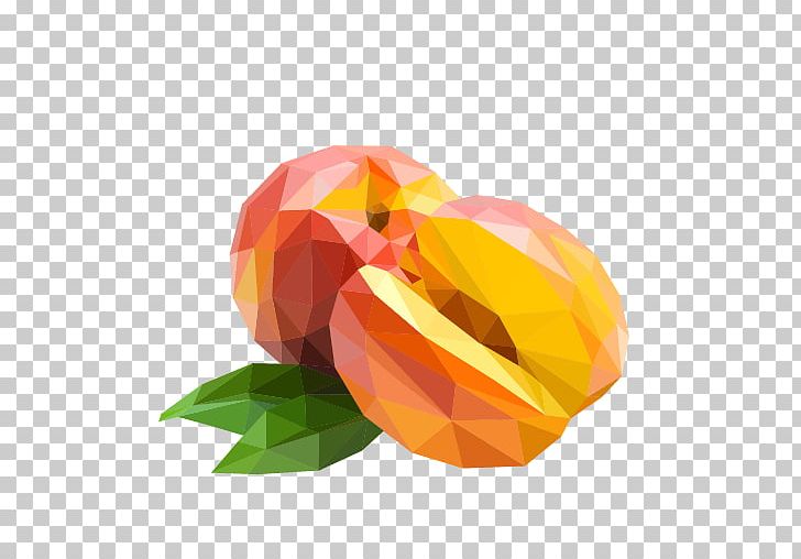 Low Poly Fruit Polygon PNG, Clipart, 3d Computer Graphics, 3d Modeling, Drawing, Flower, Flowering Plant Free PNG Download