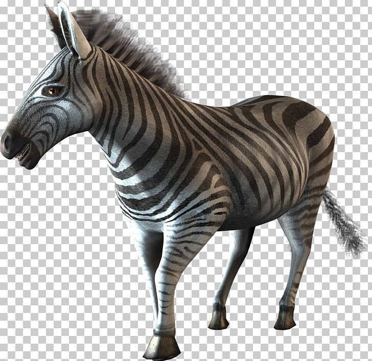 Mustang Jambo! Safari Quagga Wii Zebra PNG, Clipart, Animal, Animal Figure, Animals, Cheetah, Fauna Free PNG Download