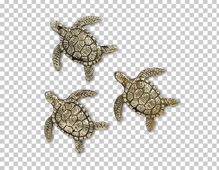 Sea Turtle Brass Metal Pond Turtles PNG, Clipart, Aesthetics, Animal, Brass, Emydidae, Jewellery Free PNG Download