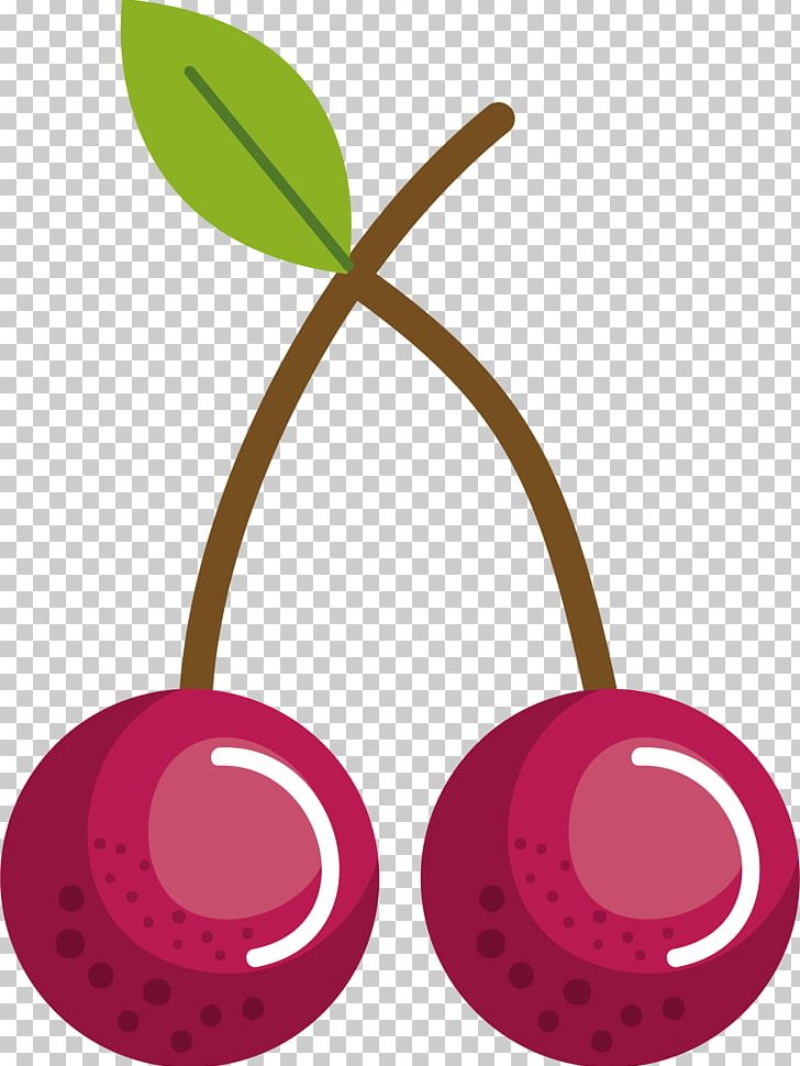 Cherry Fruit PNG, Clipart, Alam, Cartoon, Cherries, Cherry Blossom, Cherry Blossoms Free PNG Download