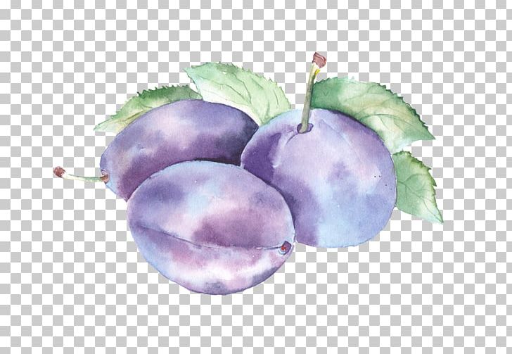 Watercolor Painting Fruit PNG, Clipart, Berry, Bilberry, Blueberry, Clip Art, Color Free PNG Download